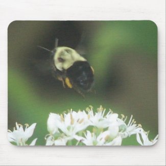 Bee Away mousepad