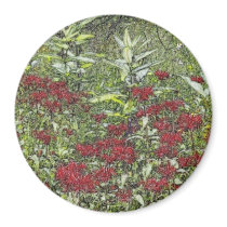 Bee Balm and Milkweed 1 Bookmark magnets by MyBookmarks Bee Balm and Milkweed 1 Bookmark magnets