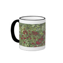 Bee Balm and Milkweed 1 Bookmark mugs by MyBookmarks Bee Balm and Milkweed 1 Bookmark mugs