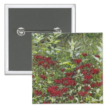 Bee Balm and Milkweed 1 Bookmark Pin