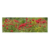 Bee Balm and Milkweed 2 Bookmark business cards by MyBookmarks Bee Balm and Milkweed 2 Bookmark business cards