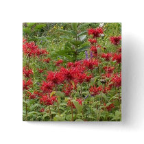 Bee Balm and Milkweed 2 Bookmark buttons by MyBookmarks Bee Balm and Milkweed 2 Bookmark buttons