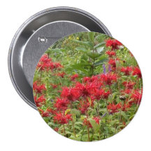 Bee Balm and Milkweed 2 Bookmark Buttons
