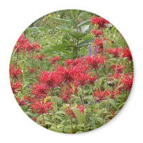 Bee Balm and Milkweed 2 Bookmark magnets by MyBookmarks Bee Balm and Milkweed 2 Bookmark magnets