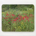 Bee Balm (Bergamot) mousepads by Fotografia Bee Balm (Bergamot) mousepads
