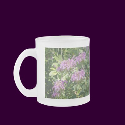 Bee Balm, Monarda Fistulosa Coffee Mug by naturegirl7