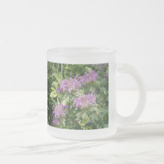 Bee Balm, Monarda Fistulosa mug
