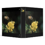 bee 3 ring binders