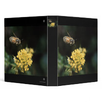 bee binders