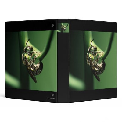 bee binders by WorldDesign