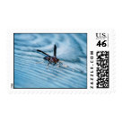  - One of my favorite photos on a postage stamp.  This image is sure to please all buggy lovers: Sizes 