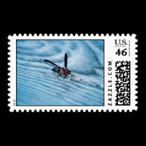Bee Blue Postage postage
