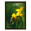 Bee Breakfast posters by jpoutnik Bee Breakfast posters