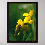 Bee Breakfast Poster