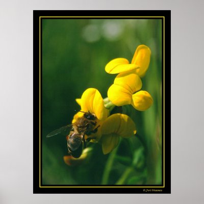 Bee Breakfast Poster by jpoutnik