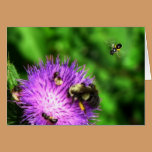 Bee Brunch Card cards