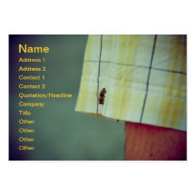 Bee Business Card Template