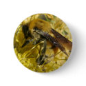 Bee Button by JudsonJoyce Bee Button