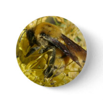 Bee Button by JudsonJoyce Bee Button