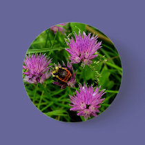 Bee buttons