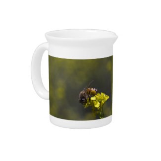 Bee Close Up Pitcher