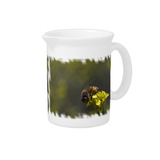 Bee Close up Whte Edge Drink Pitchers