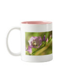 Bee Covered in Pollen Flower Mug