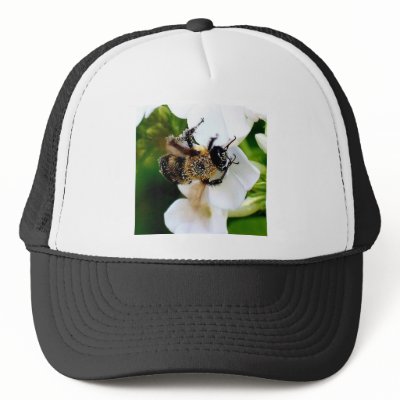 Bee covered with pollen. mesh hats by brassica