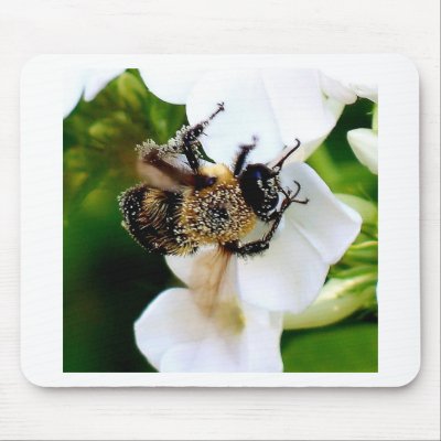 Bee covered with pollen. mouse pad by brassica