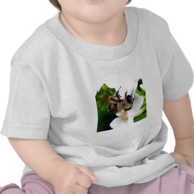 Bee covered with pollen. tee shirts by brassica