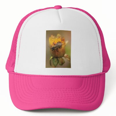 Bee - Dare to BEE Different Trucker Hats by suburbanscenes