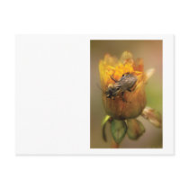Bee - Dare to BEE Different Post Card