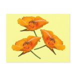 Bee Falling Poppies Postcard