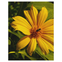 Bee Flower flyers