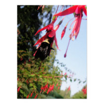 Bee Flower posters by greenblueyellow Bee Flower posters