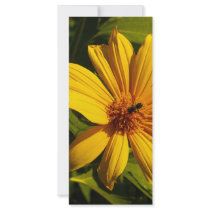 Bee Flower rack cards by Debrene Bee Flower rack cards