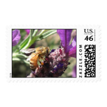 Bee Flower Stamps by wingedturtle Bee Flower Stamps