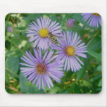Bee Fly & Purple Asters Mousepad