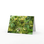 Bee gathering pollen - Greeting / note card