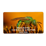 Bee Getting Sweet 1 Custom Shipping Labels