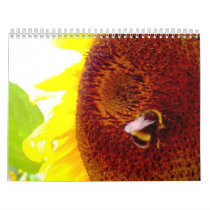 Bee Happy 2009 calendar