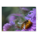 Bee Happy cards by toots1 Bee Happy cards
