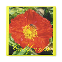 Bee Happy magnets by Rebecca_Reeder Bee Happy magnets