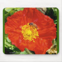 Bee Happy  with Poppy mousepads