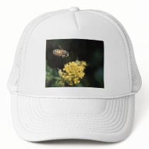 bee trucker hat