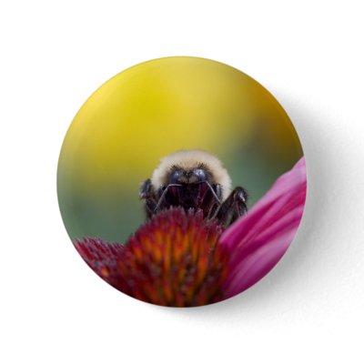 bee head pin by blacqbook