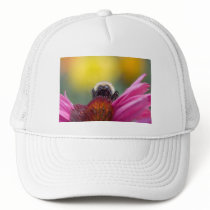 bee head hats by blacqbook bee head hats