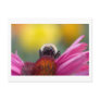 bee head post card