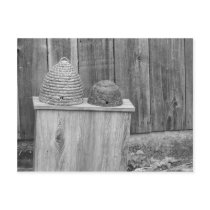 Bee Hive Postcards