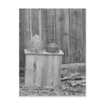 Bee Hive Post Cards